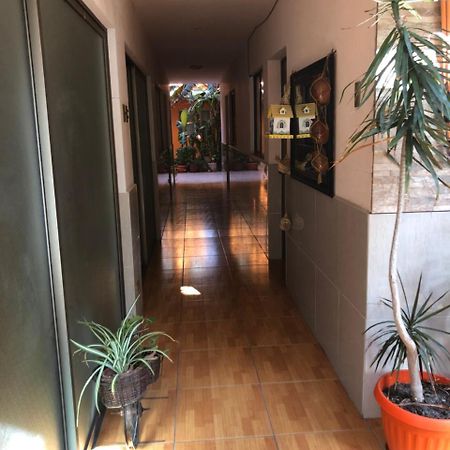 アントファガスタCasa Alejandraアパートメント エクステリア 写真