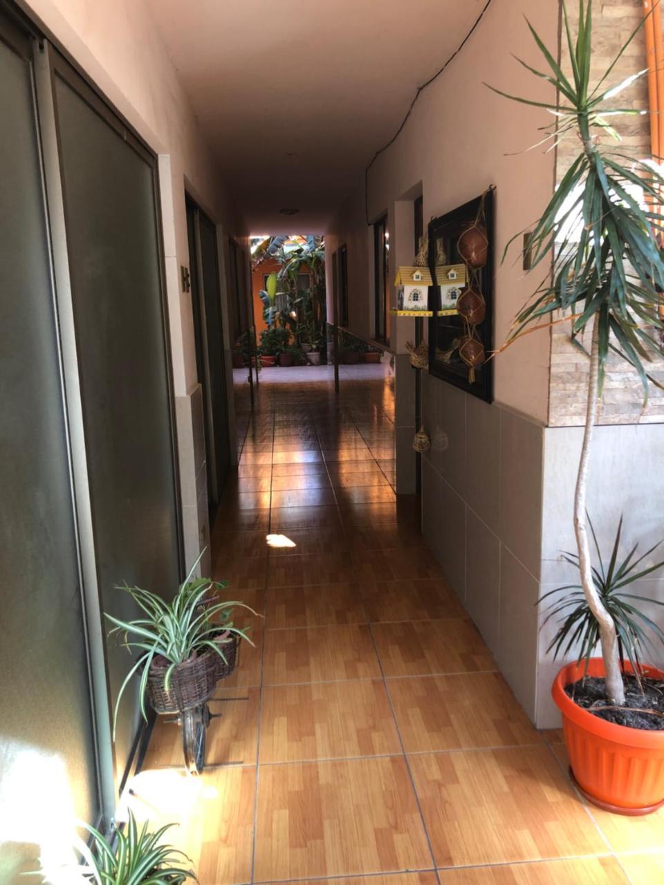 アントファガスタCasa Alejandraアパートメント エクステリア 写真